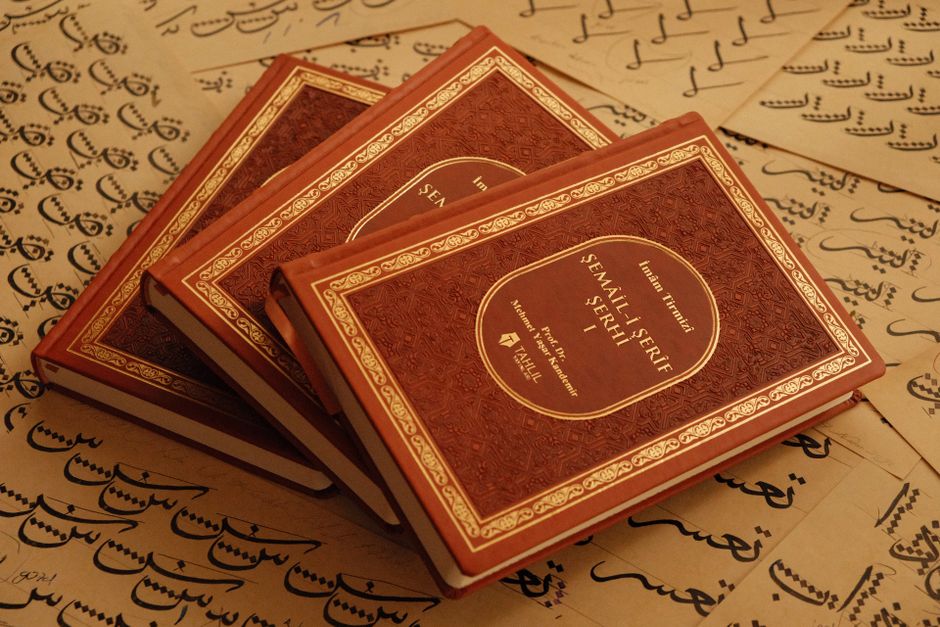Arabic tutoring
