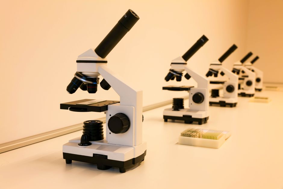 Biology tutoring